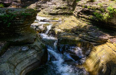 Watkins glen Devlet Parkı