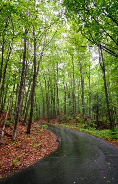 Franconia notch Devlet Parkı