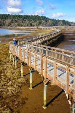 Nisqually Milli Yaban hayatı Sığınağı