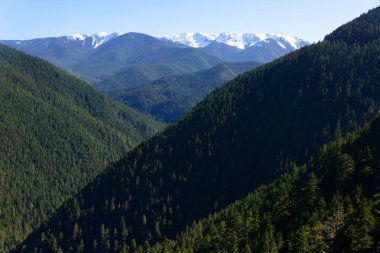 Kasırga ridge olimpik Milli Parkı