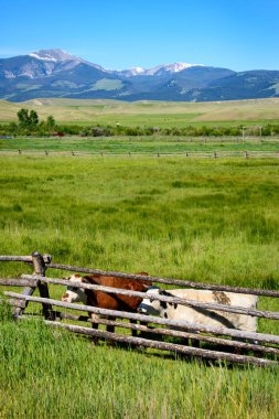 Grant-Kohrs Ranch National Historic Site