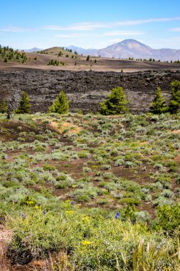 Kraterler ay ulusal anıt ve koru
