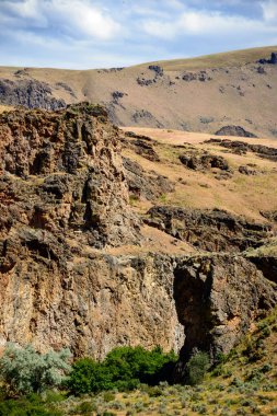 Dilenmek Creek State doğal alan