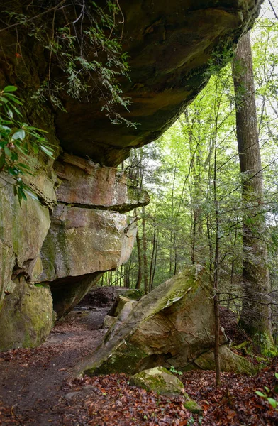 Velké South Fork Národní Řeku Rekreační Oblast — Stock fotografie