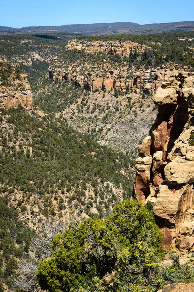 Nationalpark Mesa Verde — Stockfoto