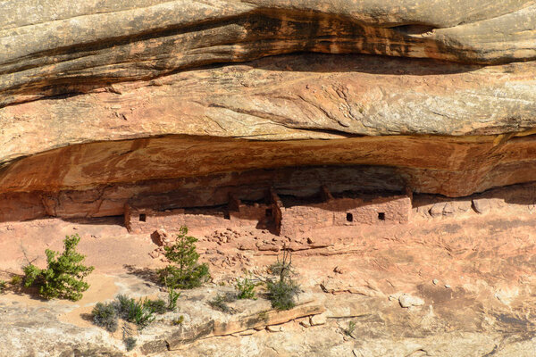 Natural Bridges National Monument