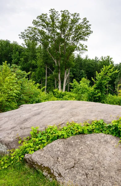 Gettysburg Nemzeti Katonai Park — Stock Fotó