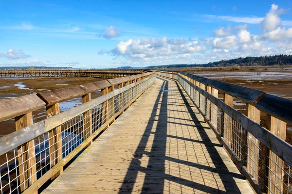 Refuge National Faune Nisqually — Photo