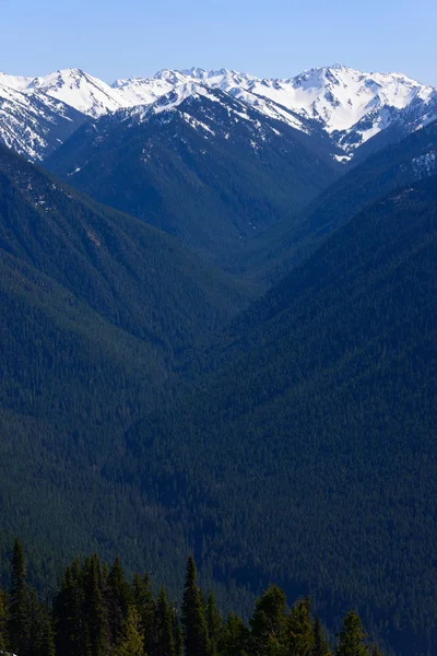 Hurricane Ridge Parque Nacional Olímpico — Fotografia de Stock