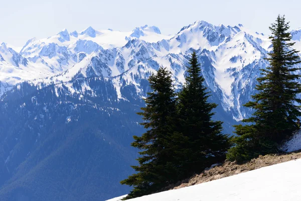 Orkaan Ridge Olympisch Nationaal Park — Stockfoto