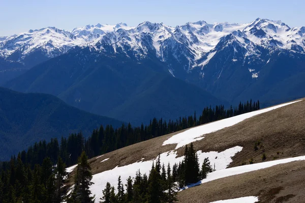 Hurrikan Grat Olympischen Nationalpark — Stockfoto