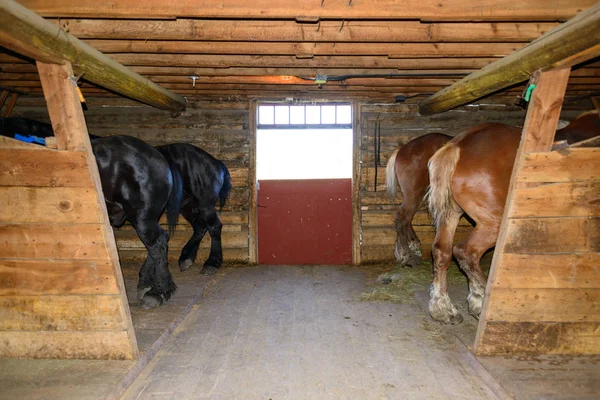 Grant Kohrs Ranch National Historic Site — Zdjęcie stockowe