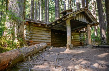 Sol Duc Falls iz Olimpik Milli Parkı'nda