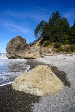 Ruby Beach olimpik Milli Parkı içinde