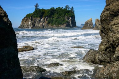 Ruby Beach olimpik Milli Parkı içinde