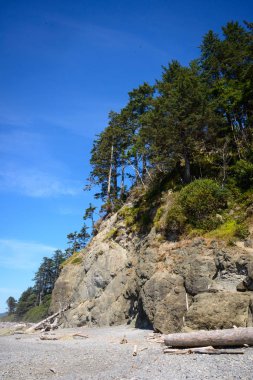 Ruby Beach olimpik Milli Parkı içinde