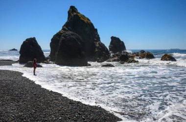 Ruby Beach olimpik Milli Parkı içinde