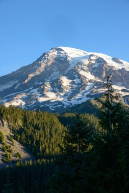 rainier Dağı Milli Parkı