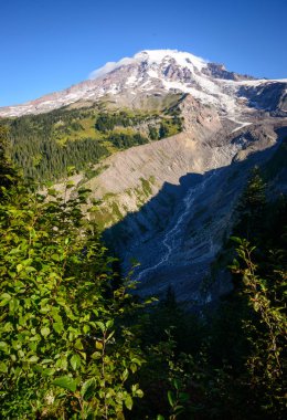 rainier Dağı Milli Parkı