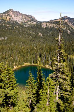 rainier Dağı Milli Parkı
