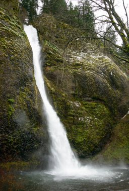 At kuyruğu Falls, Columbia Gorge Ulusal Manzara alanı