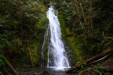 Madison falls olimpik Milli Parkı