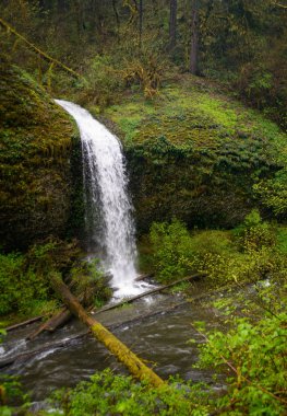 Gümüş falls state park