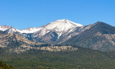 San Francisco Peaks Coconino Ulusal ormanı içinde