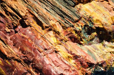 Taş Ormanı Ulusal Parkı