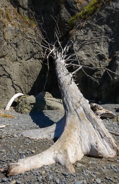 Ruby Beach Olympic National Park — Stock Photo, Image