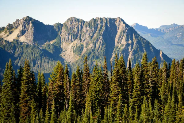 Národní Park Mount Rainier — Stock fotografie