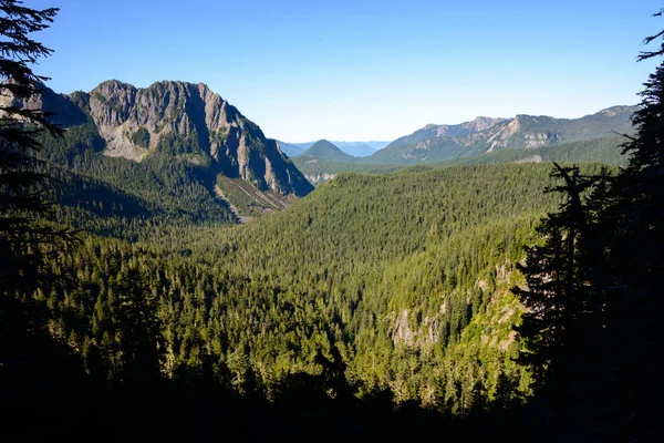 Mount Rainier Nemzeti Park — Stock Fotó