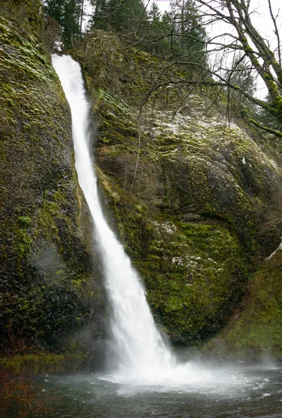 Åkerfräken Falls Columbia Gorge National Scenic Area — Stockfoto