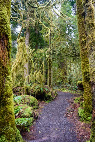 Lago Crescente Parque Nacional Olímpico — Fotografia de Stock