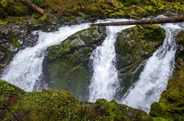 Sol Duc Falls Trail Olympic National Park — Stockfoto