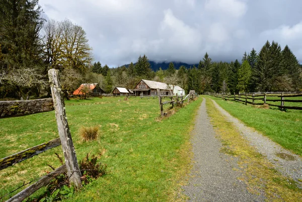 Quinault yağmur ormanlarında Olimpik Milli Parkı