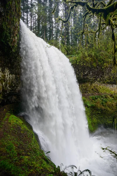 Silver Falls State Park — Stockfoto