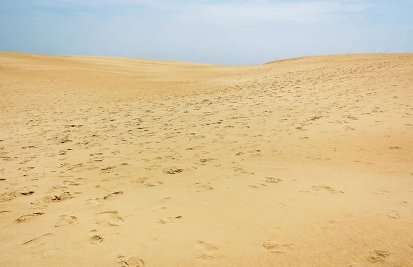 Jockey Ridge State Park — Stock Fotó