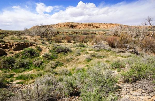 Chaco Kultur Historiska Nationalpark — Stockfoto