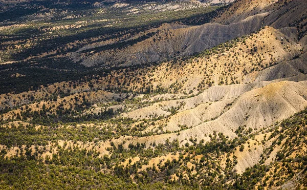 Mesa Verde国家公园 — 图库照片