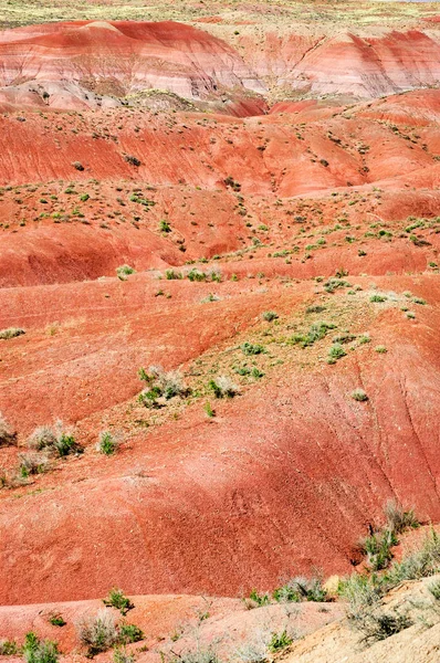 Petrified Forest National Park — Stock Fotó