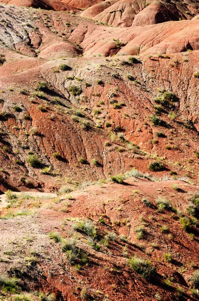 Taş Ormanı Ulusal Parkı — Stok fotoğraf