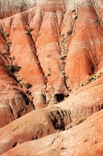 Petrified Forest National Park — Stock Fotó