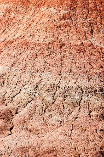 Förstenad Skognationalpark — Stockfoto