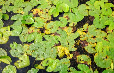 Fort Lennox National Historic Site