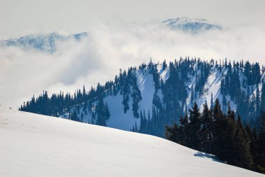 Kasırga ridge olimpik Milli Parkı
