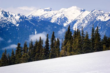 Kasırga ridge olimpik Milli Parkı