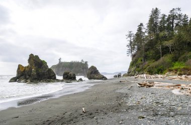 Ruby Beach olimpik Milli Parkı içinde