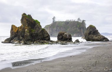 Ruby Beach olimpik Milli Parkı içinde