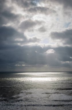 Ruby Beach olimpik Milli Parkı içinde